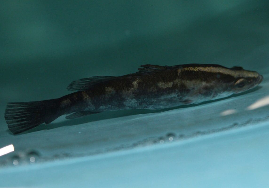 1400-new-classmates-successfully-enrolled-1