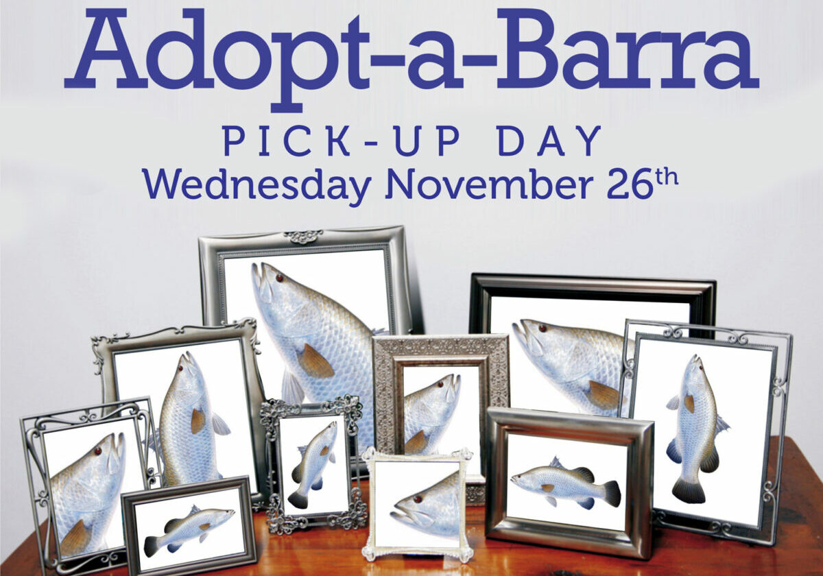 adopt-a-barra-pick-up-day-0