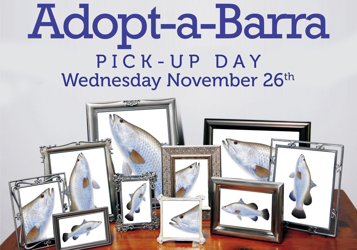 adopt-a-barra-pick-up-day-0