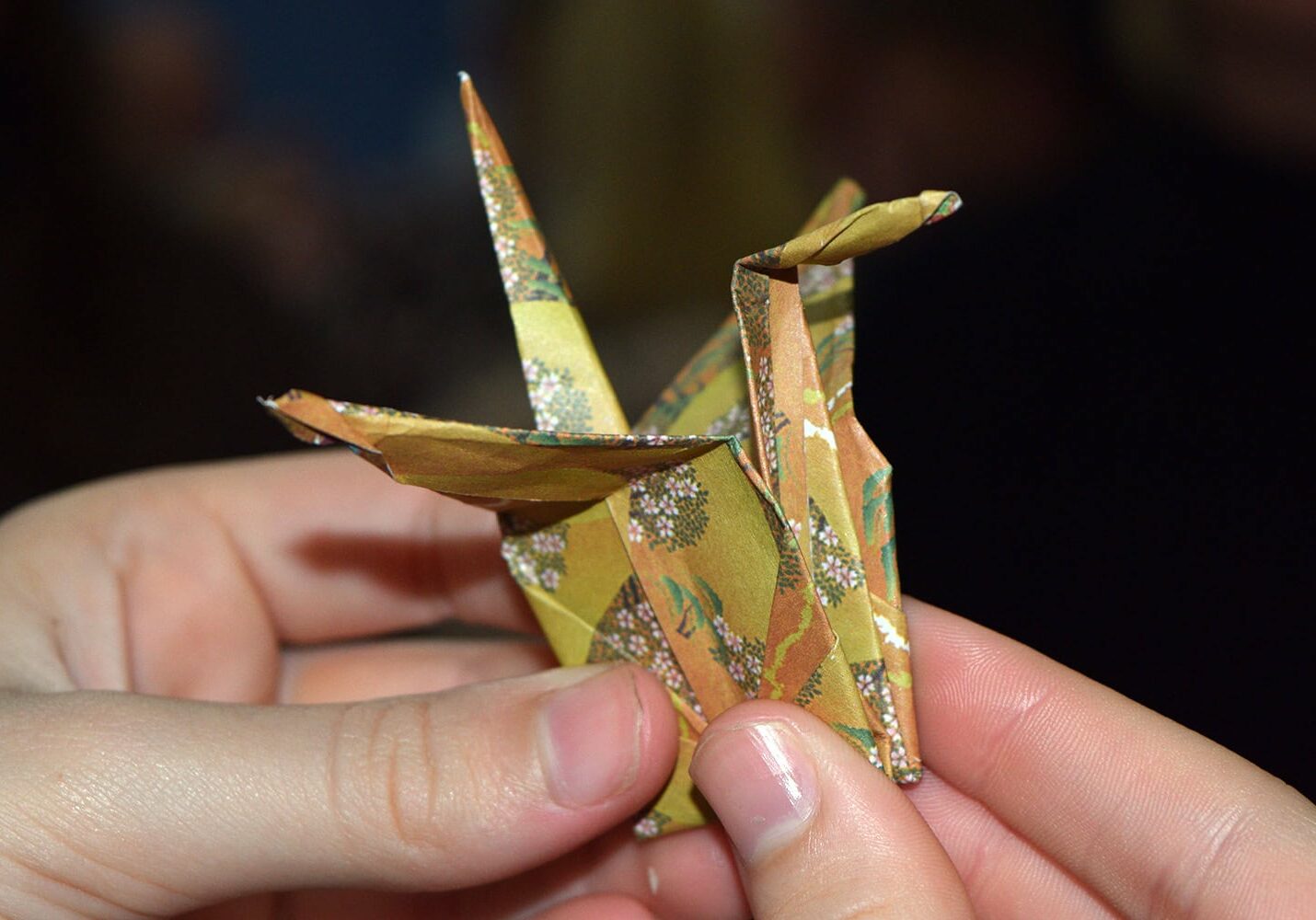 japanese-fusion-dinner-15