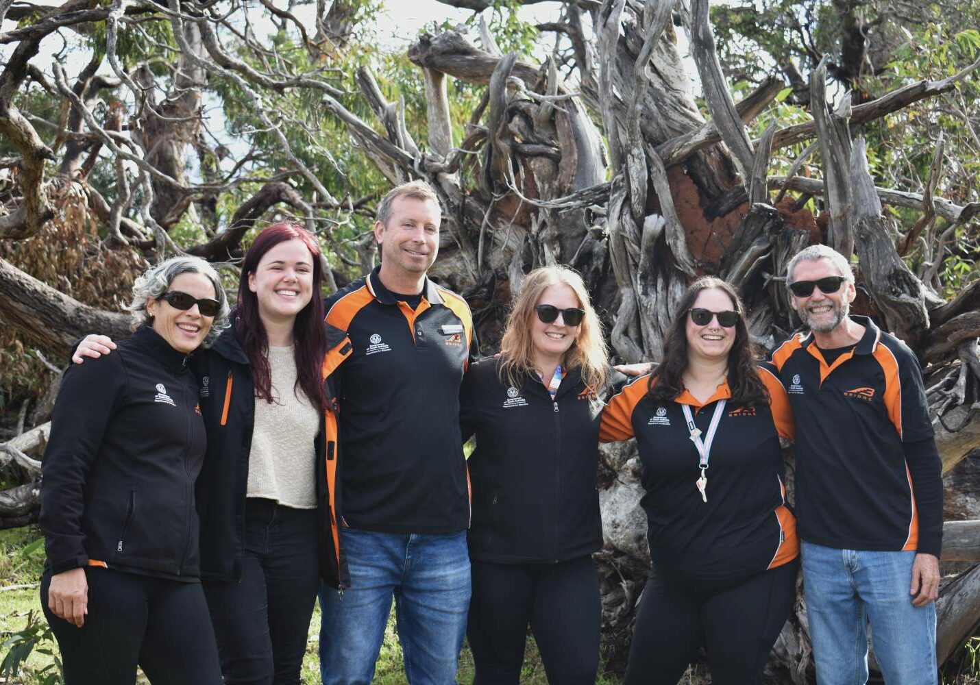 meet-the-bridge-team