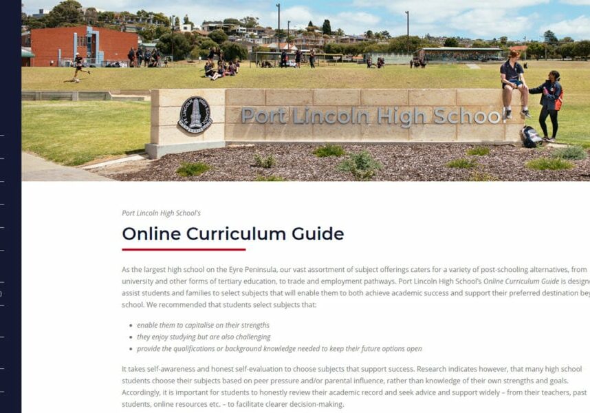 online-curriculum-guide