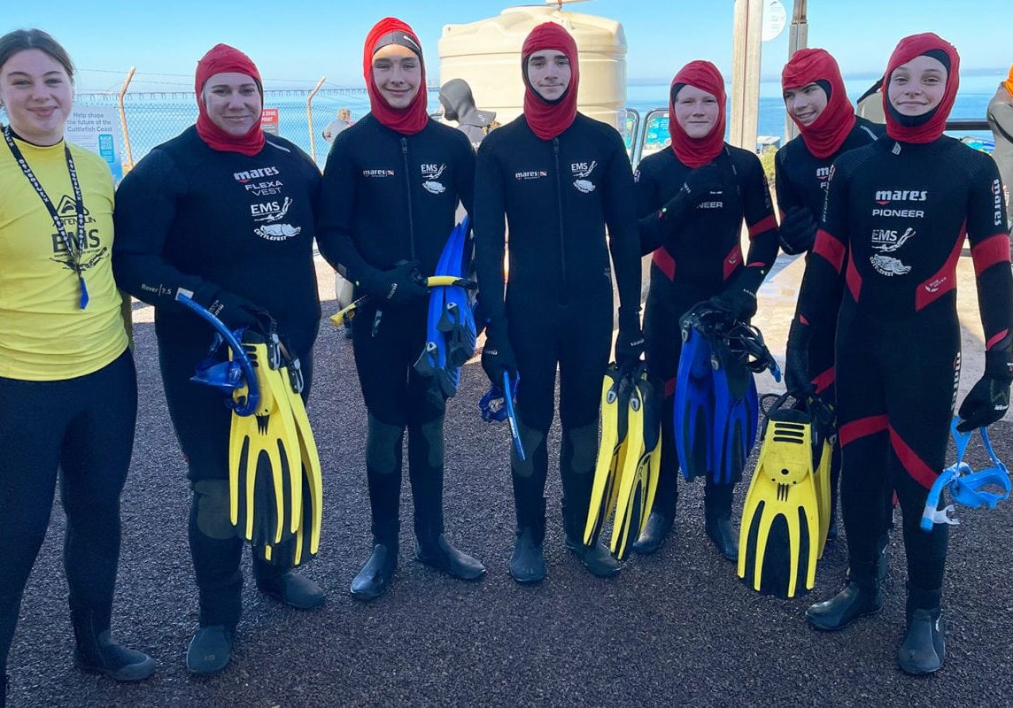 pointy-lowly-swim-with-the-cuttlefish-4