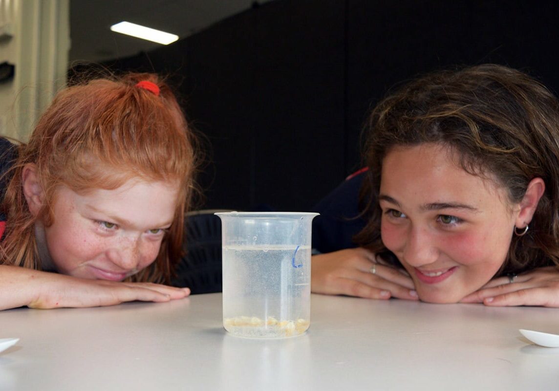 science-week-activities-at-plhs-1