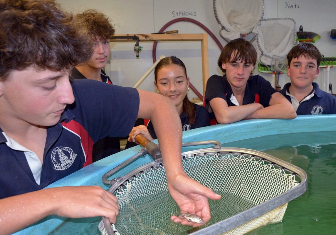 year-11-aquaculture-students-with-3-month-old-barramundi